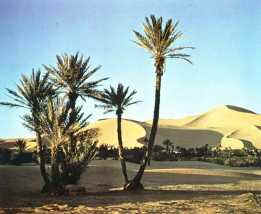 wpeB4.jpg (9437 octets)