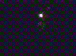 FUOCHI3.GIF (55767 octets)