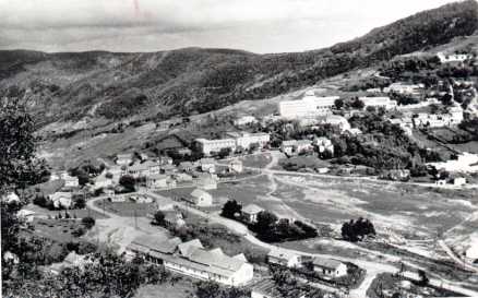 Ain Draham.JPG (23671 octets)