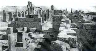 Tebessa basil es.JPG (8850 octets)