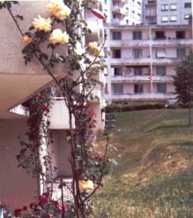 Toulouse.JPG (13944 octets)