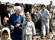 bidonville_egypte.jpg (18335 octets)