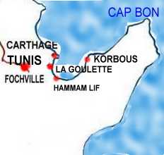 environs de Tunis carte.JPG (7028 octets)