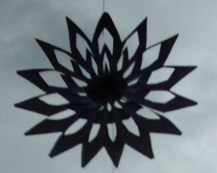 etoile fleur.JPG (4456 octets)