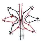 etoile mousse.JPG (3563 octets)