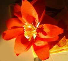 fleur de noel8.JPG (5041 octets)