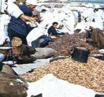 march�.jpg (9620 octets)