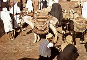 march� anes.jpg (11974 octets)