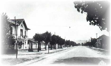 morris rte pple.JPG (14659 octets)