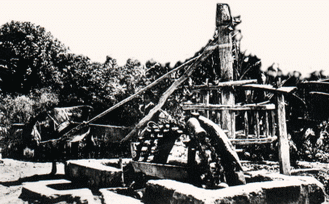 Noria.gif (49118 octets)