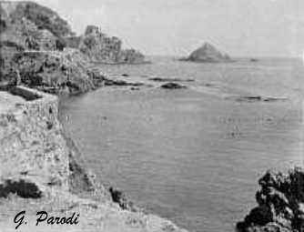 Philippeville La corniche de Stora.jpg (9479 octets)