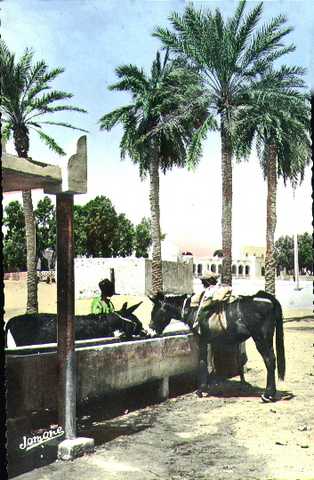 Touggourt, fontaine de Nezler (archives).jpg (29432 octets)