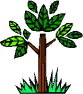 arbre.gif (4452 octets)
