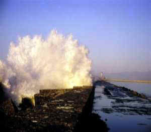 la m�diterran�e � Didjelli.jpg (6796 octets)