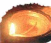 lumi�re mandarine.jpg (3109 octets)