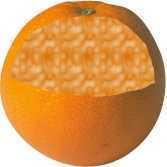 mandarine.jpg (3569 octets)