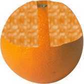 mandarine cot�.jpg (3479 octets)
